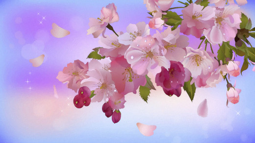 646681 (a): :1920x1080